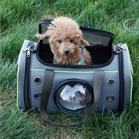 Sac de transport pour chats et chiens