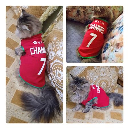 National Teem T-shirt avec Personnalisation  قميص رياضي  للقطط و الكلاب