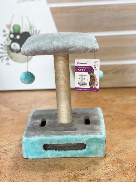 Arbre à chat شجرة للقطط-