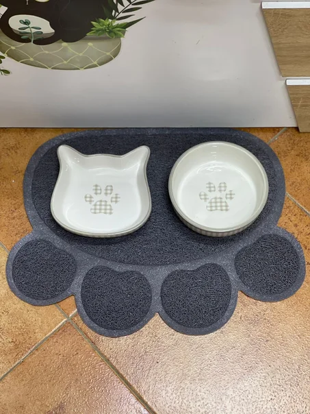 Gamelle pour la nourriture et l'eau céramique