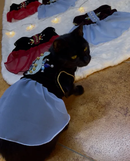 Tenue traditionelle Beldi Robe