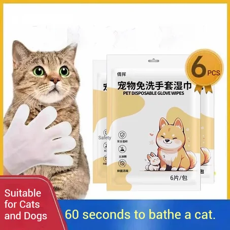 Lingettes gants 6 pcs