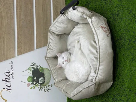 سرير للقطط و الكلاب الصغيرة