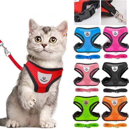 Harnais pour chat