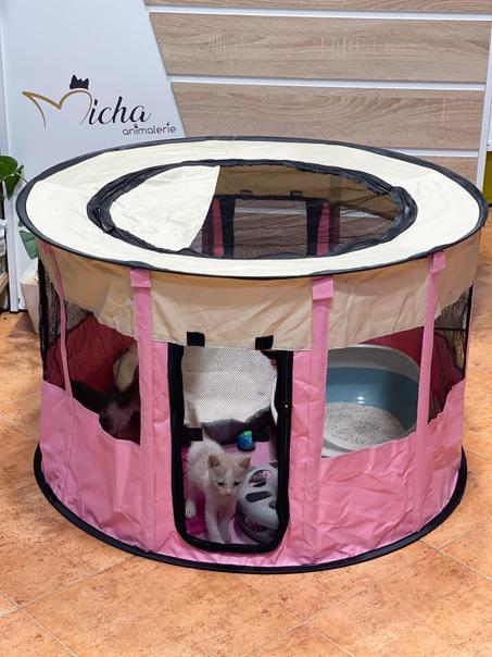 Tente pour Animaux de compagnie خيمة للحيوانات الأليفة