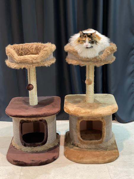 Cat tree with Scratch- شجرة للقطط مع خداشة