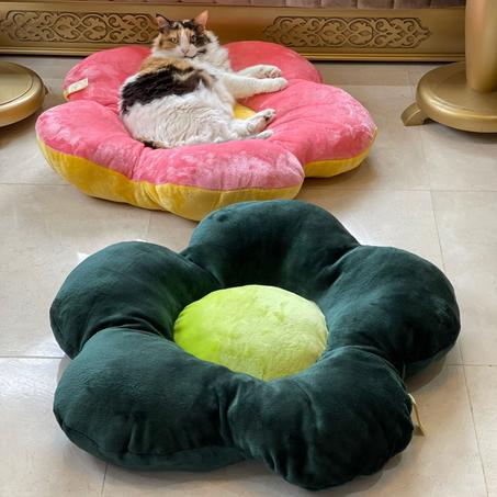 Coussin pour chat Design Flower l My baby sits here PROMO!