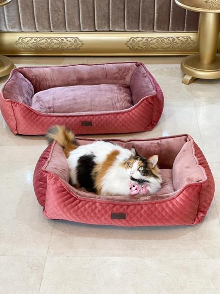 Promo ! Coussin Rose pour chat et chien