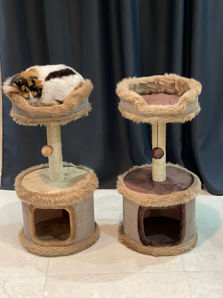 Arbre à chat Griffoire -شجرة للقطط مع خداشة