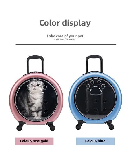Valise couverte avec porte transparente pour chats chiots animaux