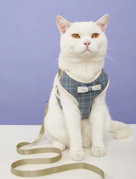 harnais pour chats et chiens Taille M