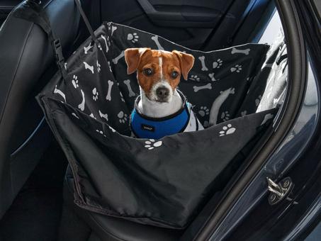 Hausse de voiture pour chiens ZOOFARI