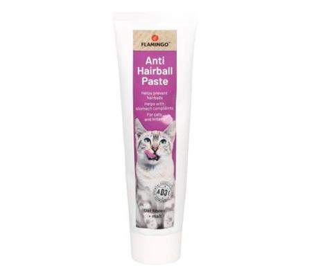 PÂTE ANTIBOULE DE POILS  100 g