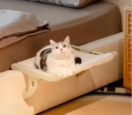 cat hanging bed