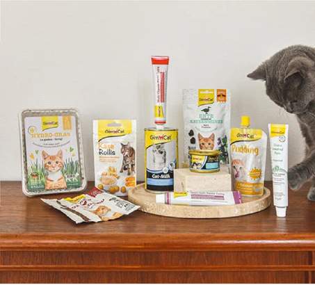 Pack Gim Cat