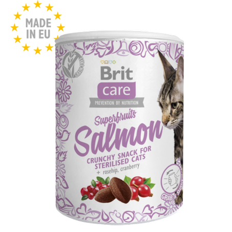 Brit Care Cat Snack Superfruits salmon 100 g