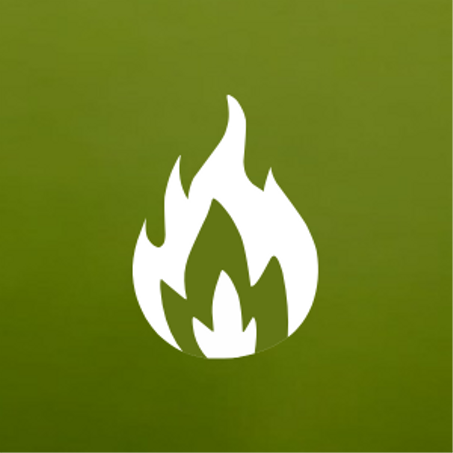 الأكثر مبيعا