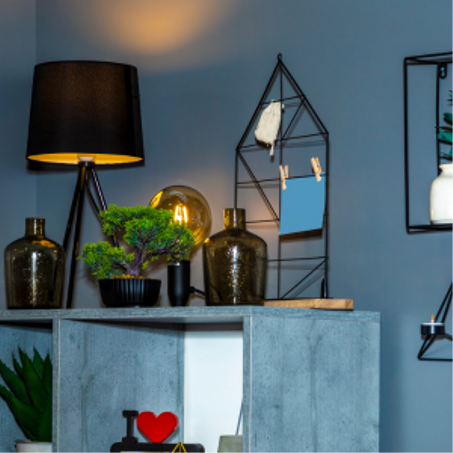 المنزل والحديقة