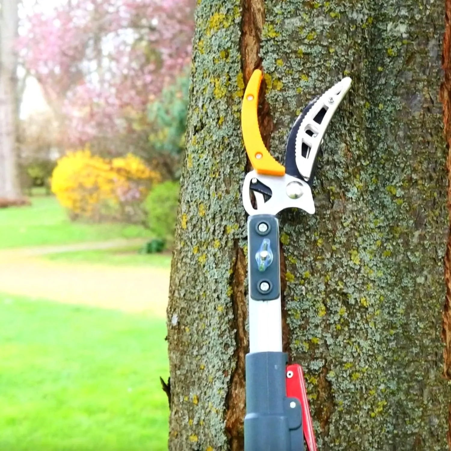 مقص تلسكوبي يجمع القطع والنشر في أداة واحدة