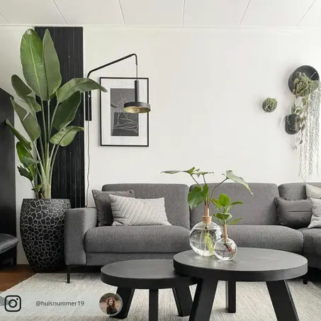 الأثاث المنزلي