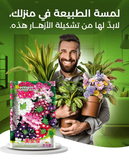 خليط من بذور الازهار WowFlow سريعة التزهير