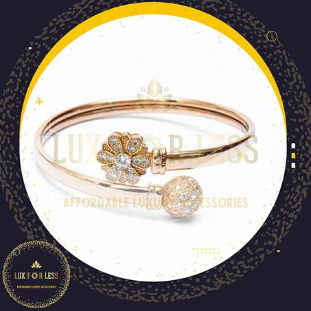 الاكسسوارات