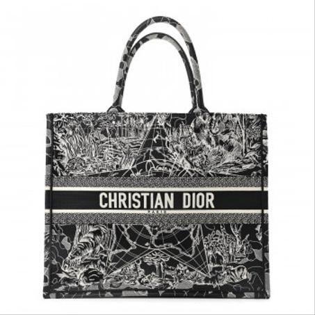 Dior Book Tote