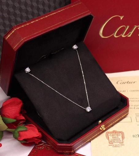 silver necklace +Earrings