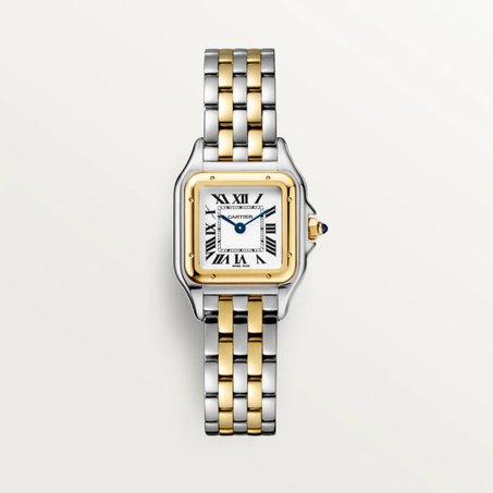 PANTHÈRE DE CARTIER WATCH SILVER-GOLD