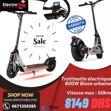 Trottinette électrique Bison 800W