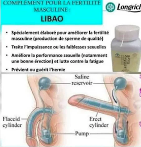 LIBAO de Longrich
