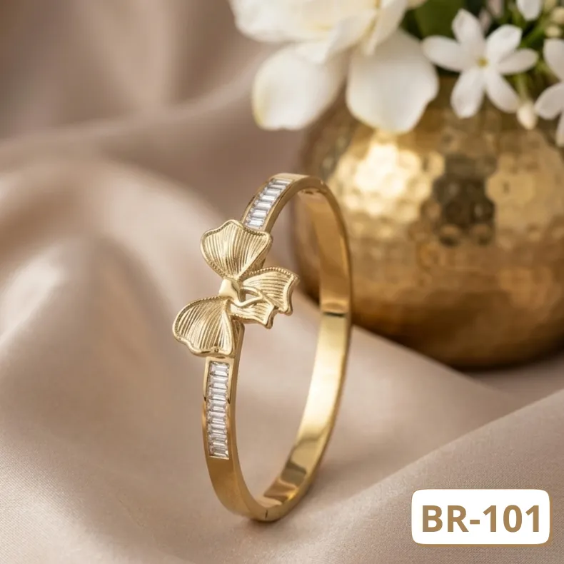 BR-101