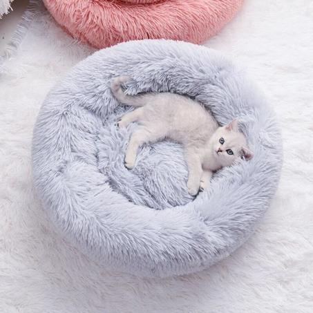 مستلزمات الحيوانات الأليفة