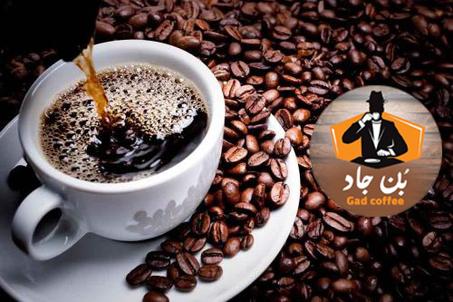 البـــــن الحبشـــى