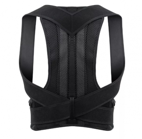 Back support belt