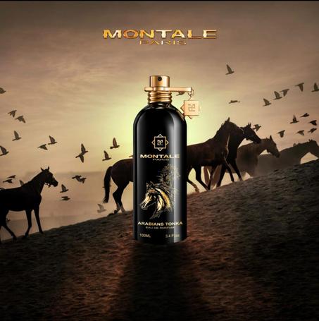 Arabians Tonka – Montale