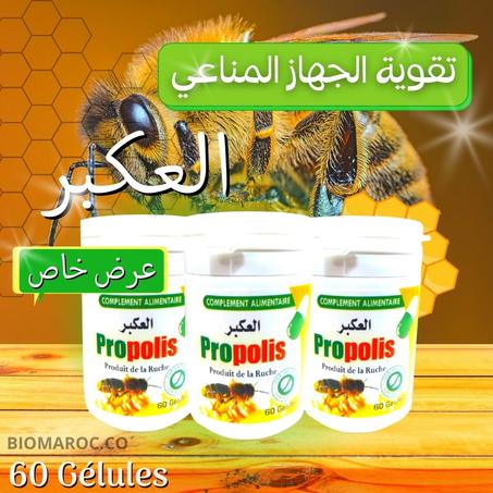 ProPolis - العكبر