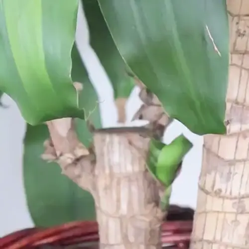 Невидимая охрана 24/7 — следи за всем, где бы ты ни был!