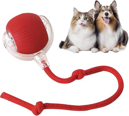 TailyBall V2 – El Juguete Interactivo Ideal para Gatos y Perros