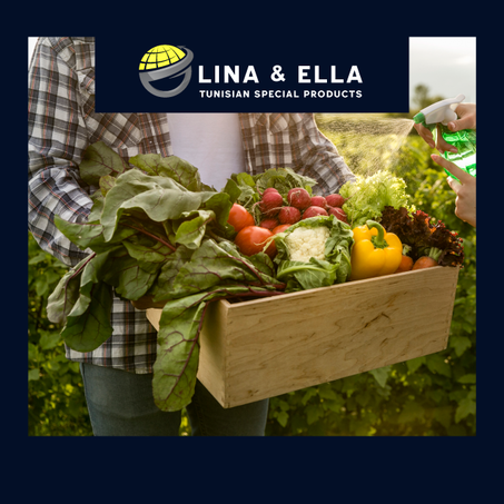 Tunisian Agrifood – Fresh, Trusted, Quality-Driven