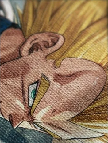 Vegeta : La Fierté du Guerrier