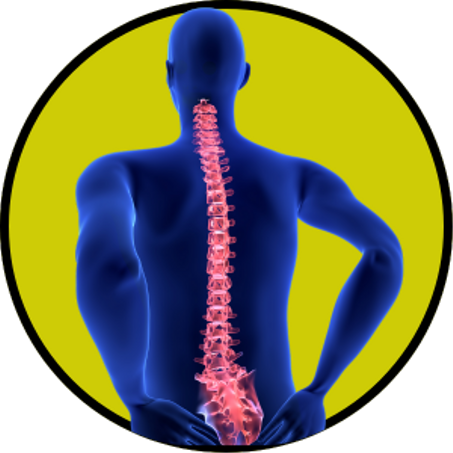 ألم المفاصيل