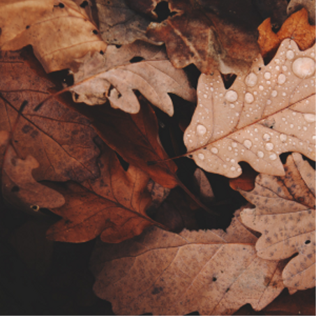 مواسم الخير