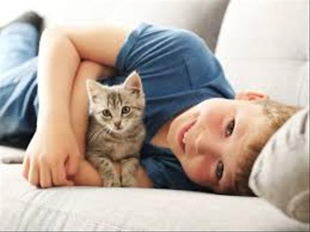 الحيونات الاليفة