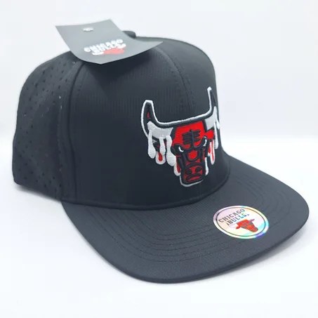 Chicago Bulls