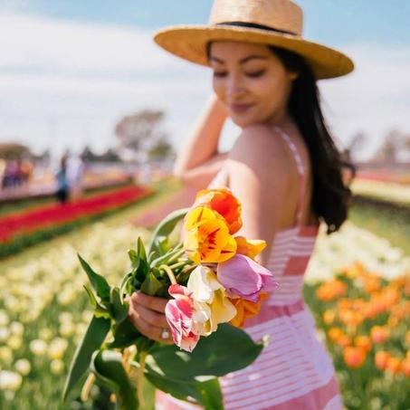 بذور الزهور