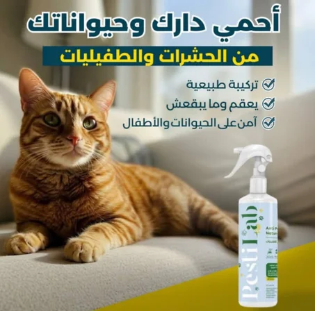 Anti Parasites Naturel