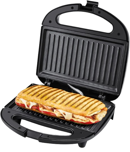 Panini