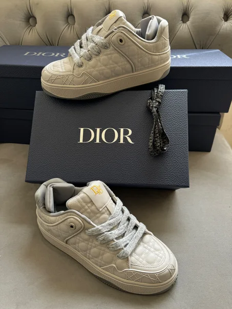 DIOR BIEGE
