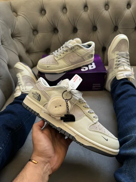 Nike dunk low collaboration THE NOTH FACE